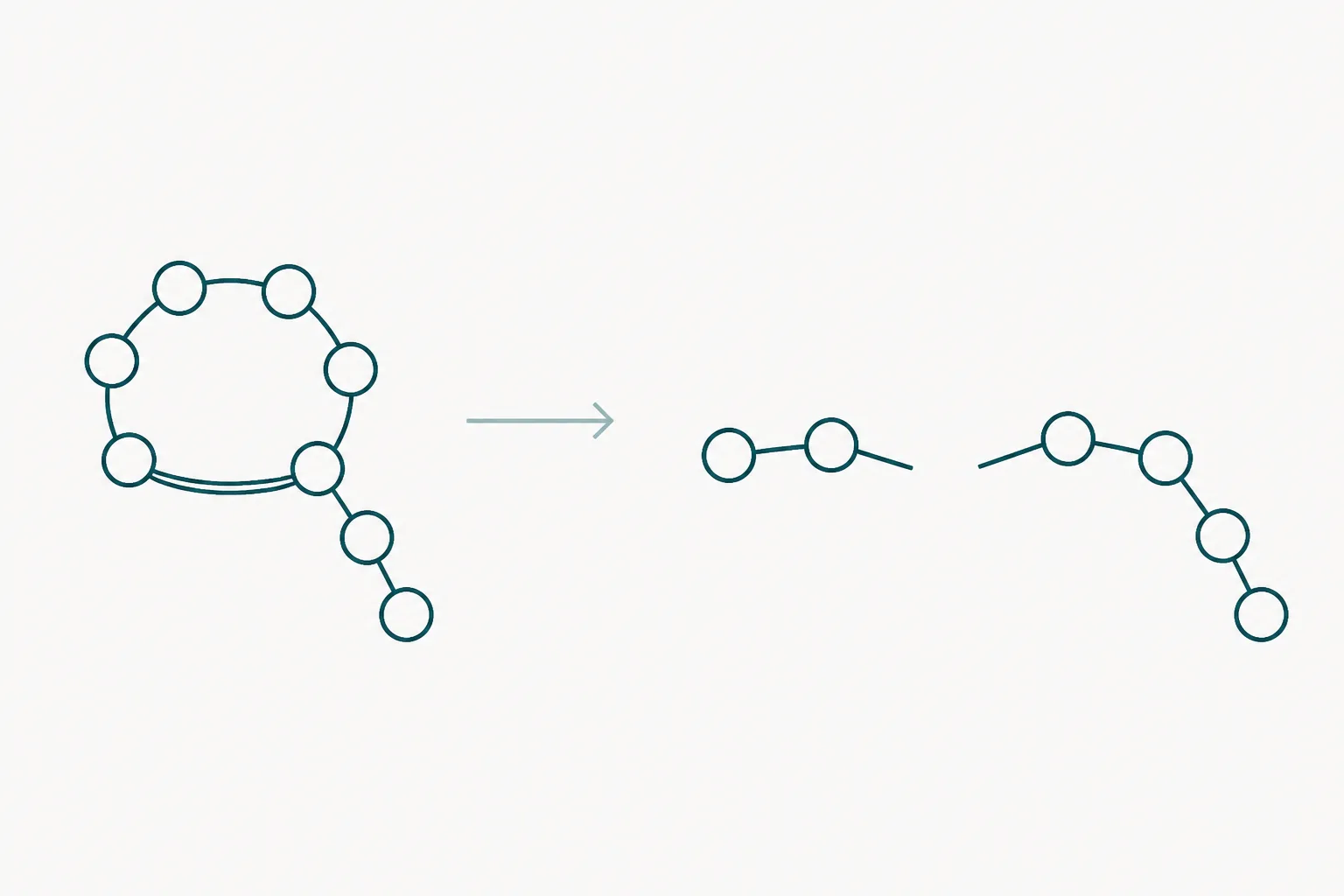 Abstract diagram of a chain of circles with a short bridge joining two of them into a loop, beside the same chain with the bridge broken and the loop open