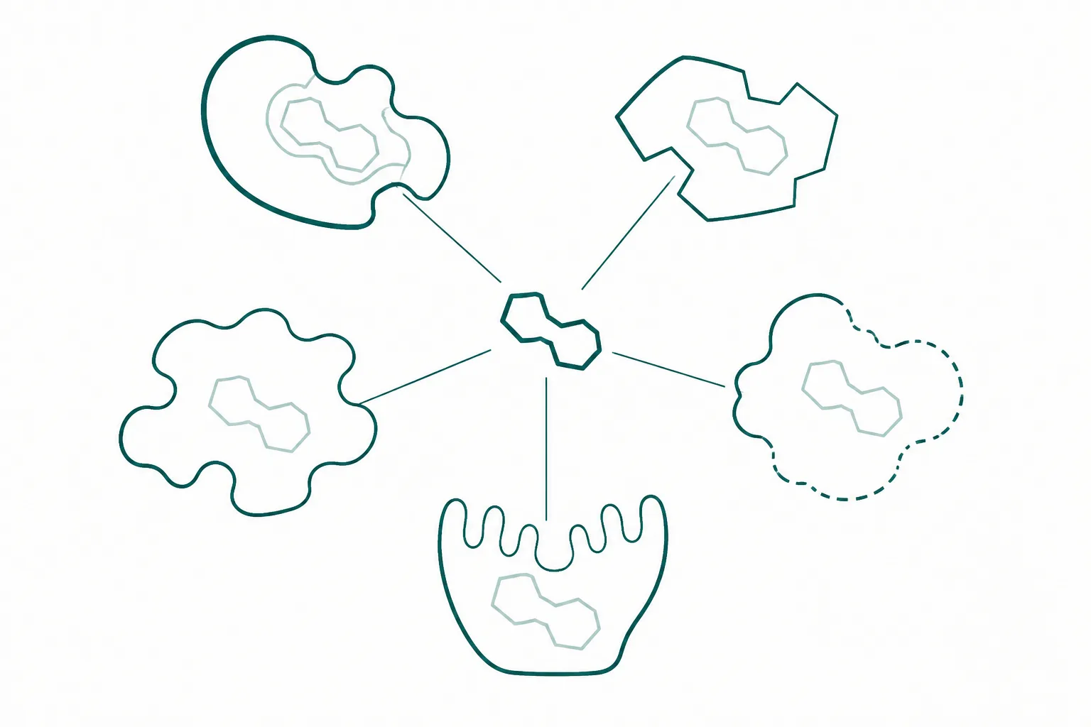 Diagram of one ligand shape engaging several differently shaped receptor sites, illustrating non-selective binding across a receptor family
