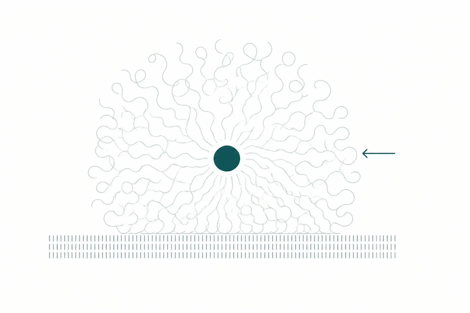 Abstract diagram of a small compact shape enclosed within a large diffuse cloud of loosely coiled lines, held above a fine mesh barrier