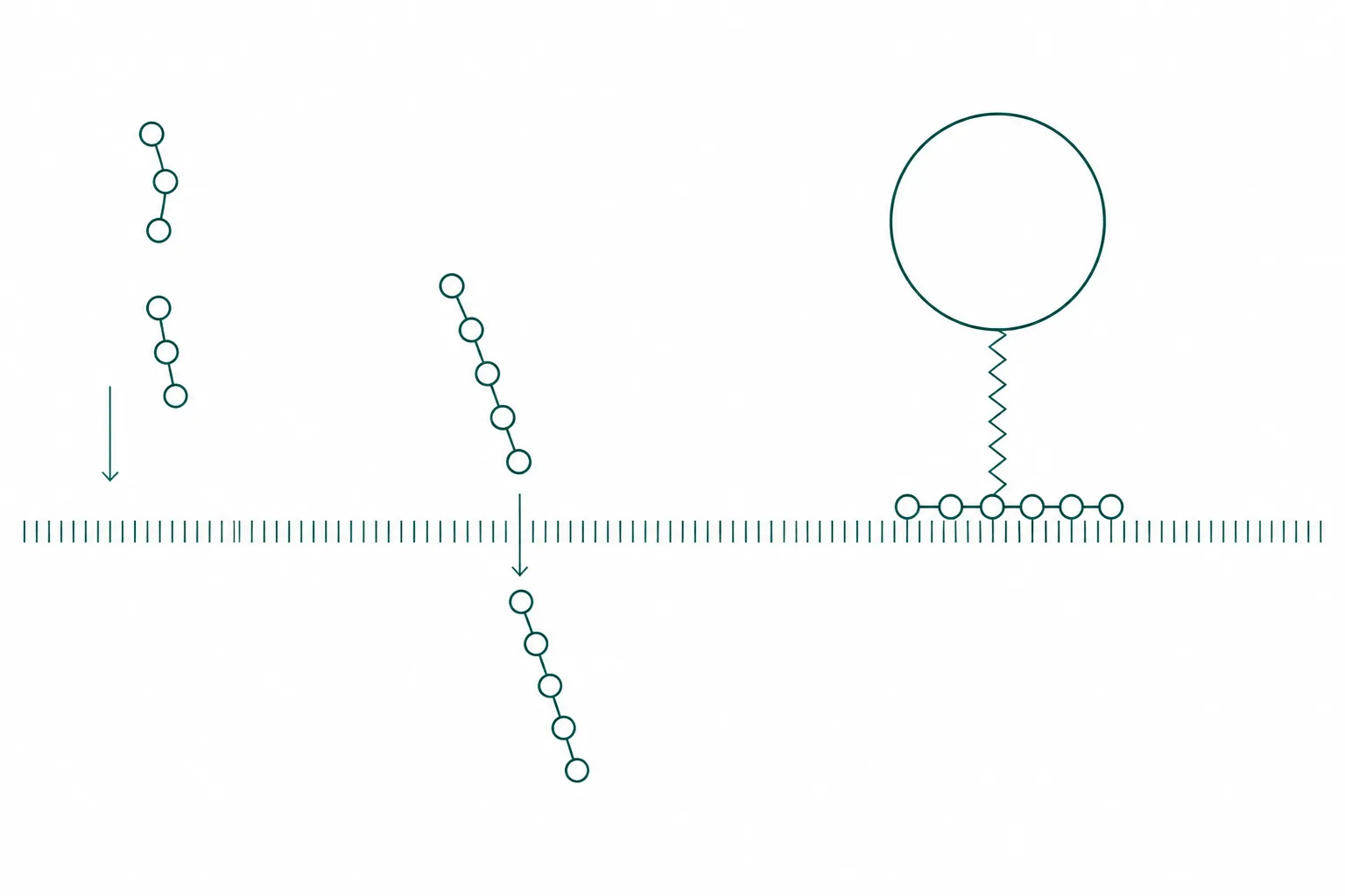 Diagram showing a small chain of linked units passing through a fine mesh barrier while the same chain, attached to a large sphere, is held back by the mesh