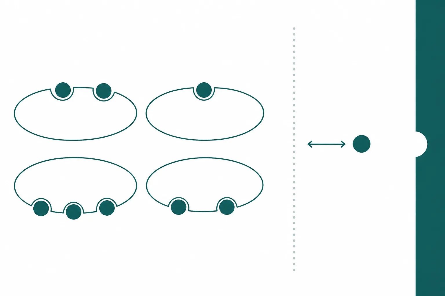 Abstract diagram of many small circles attached to large ellipses with one circle free in the gap between them and a receptor-shaped notch