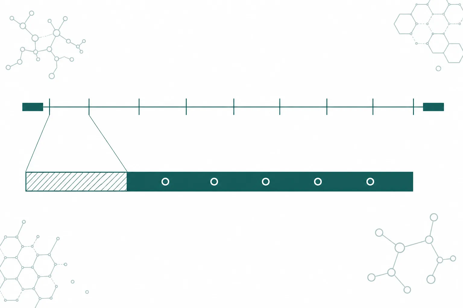 A horizontal trial timeline of nine evenly spaced week markers with two session blocks at either end, one of which is expanded below into a shorter hatched segment followed by a longer solid segment