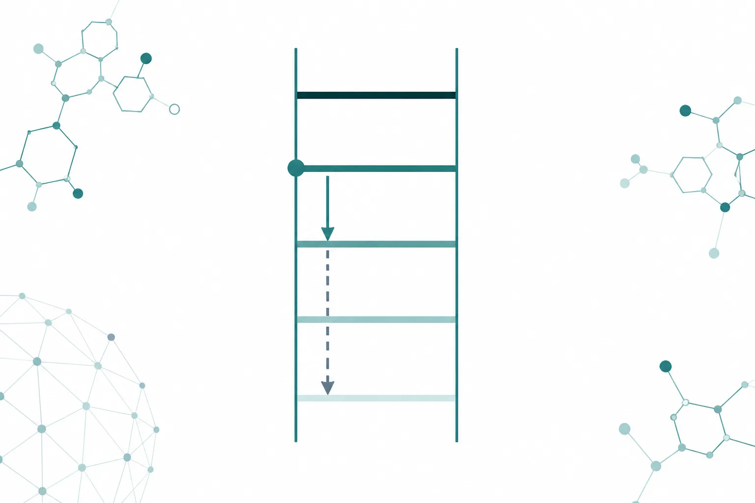 A five-rung ladder drawn as a fibrosis staging scale, with a short arrow moving one rung down from the fourth rung and a long dashed arrow running from the same rung all the way to the bottom