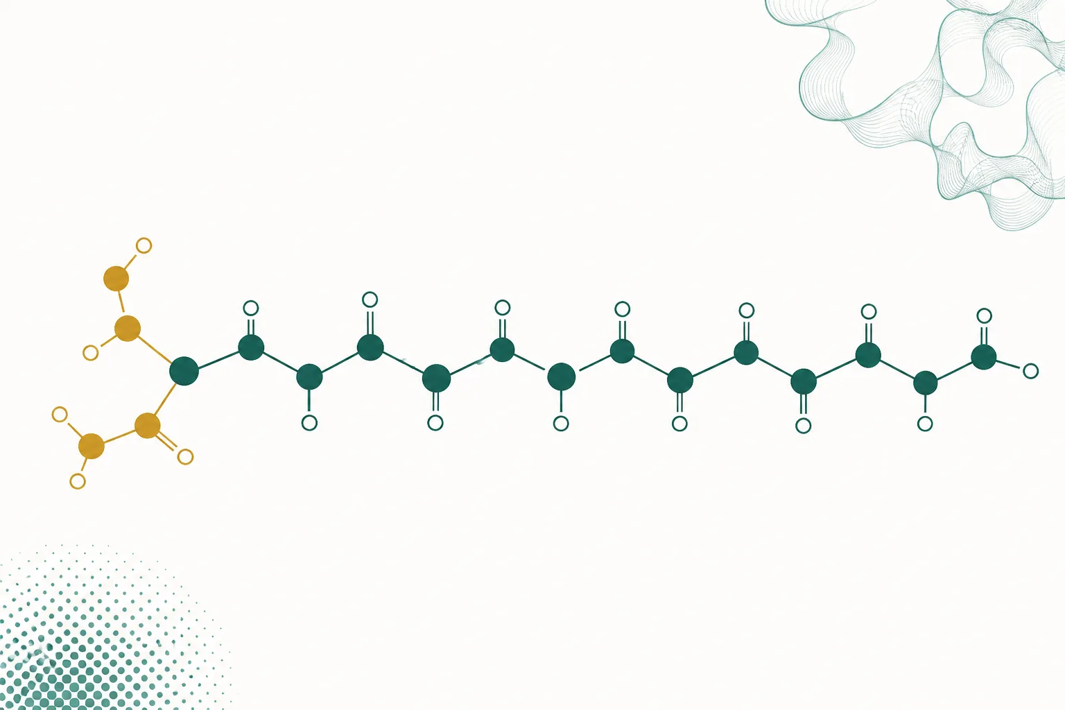 Abstract diagram of a long peptide chain with a small modified group attached at one end