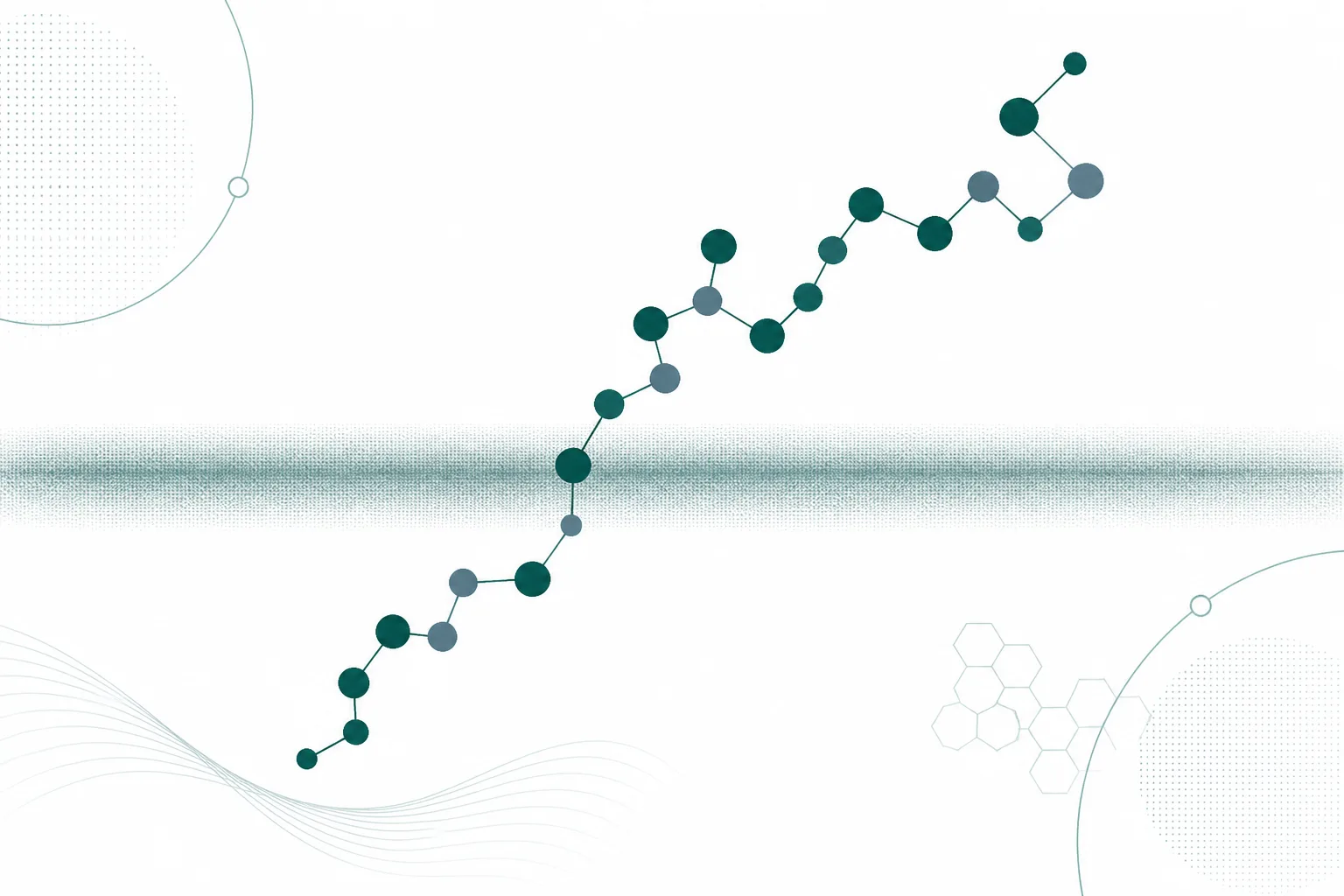 Abstract diagram of two unrelated peptide chains diverging from a single shaded band representing a crude thymus extract